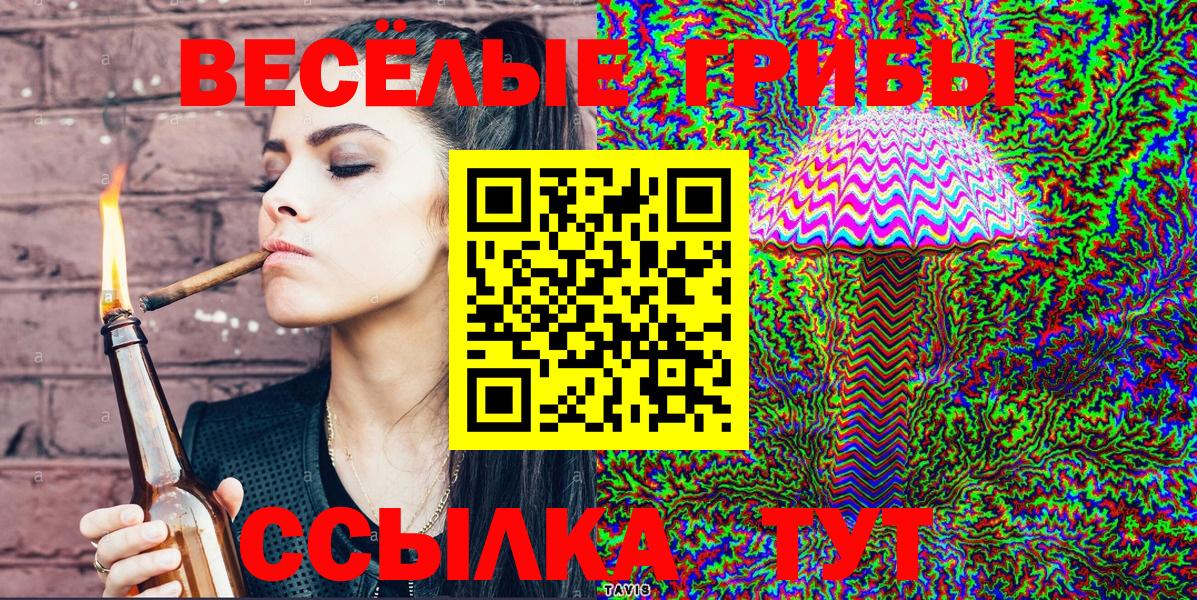 Псилоцибиновые грибы Psilocybe Петропавловск-Камчатский