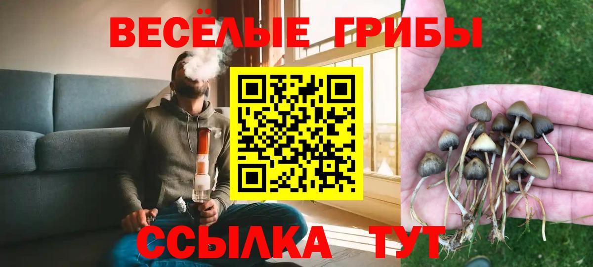 купить наркотик  Псилоцибиновые грибы Psilocybine cubensis  Вход с VPN  Галлюциногенные грибы MAGIC MUSHROOMS  Петропавловск-Камчатский 